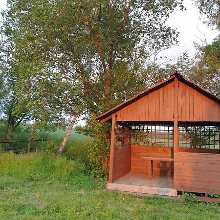 Apartament Panorama Jezow Sudecki Екстериор снимка