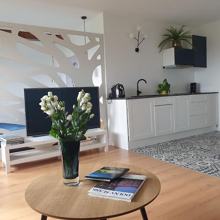 Apartament Panorama Jezow Sudecki Екстериор снимка