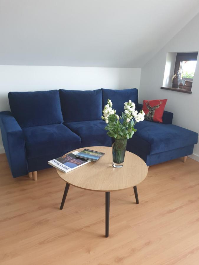 Apartament Panorama Jezow Sudecki Екстериор снимка